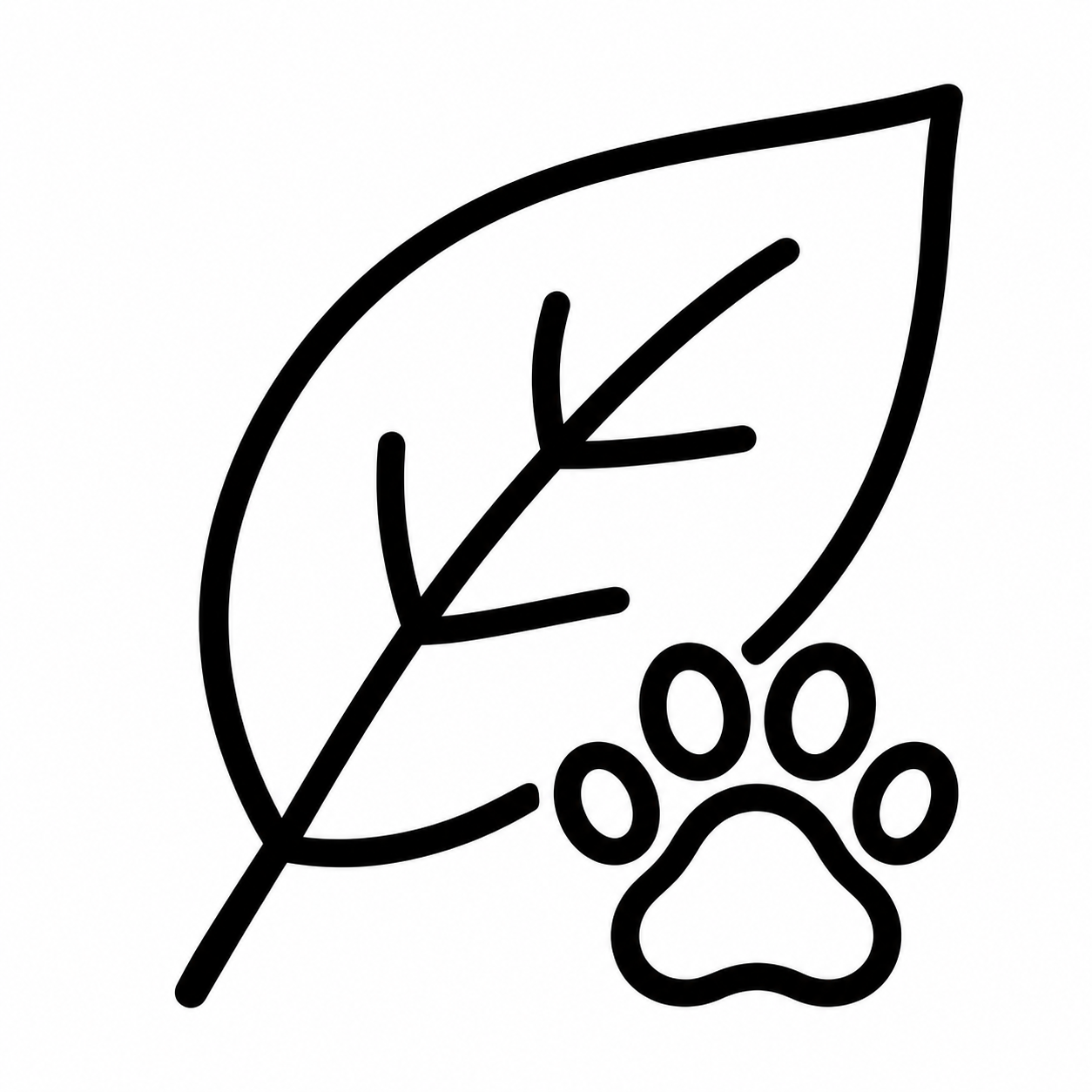 feature-item-4